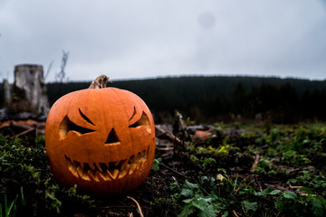 scary halloween pumpkin in the forest