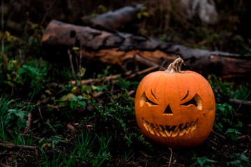 scary halloween pumpkin in the forest