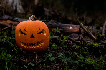 scary halloween pumpkin in the forest