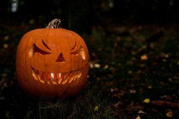scary halloween pumpkin in the forest