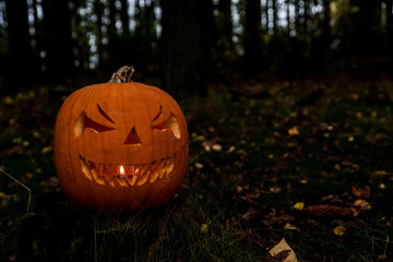 scary halloween pumpkin in the forest