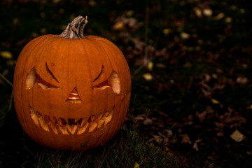 scary halloween pumpkin in the forest