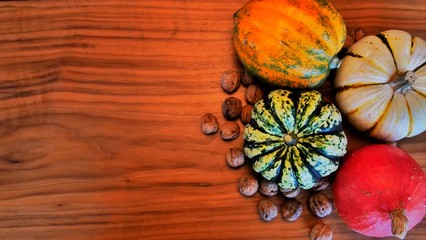 Diverse bunte Kürbisse von oben rechts-cadriert als Hintergrund