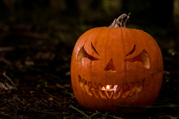 scary halloween pumpkin in the forest