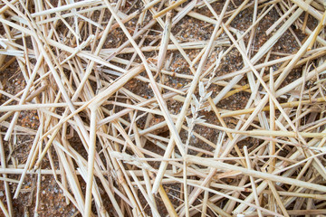 Straws of Hay Background