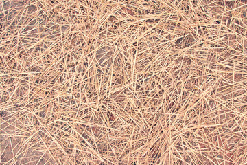 Straws of Hay Background