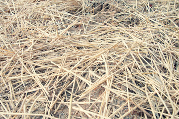Straws of Hay Background