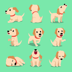 Vector cartoon character labrador dog poses for design.