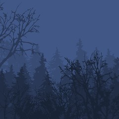 Foggy forest in gloomy landscape natural outdoor pine environment wood vector illustration.