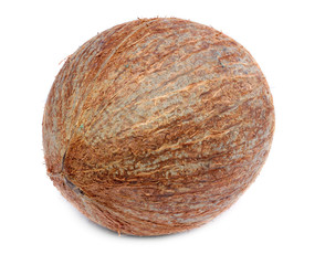 Fresh Coconut isolated
