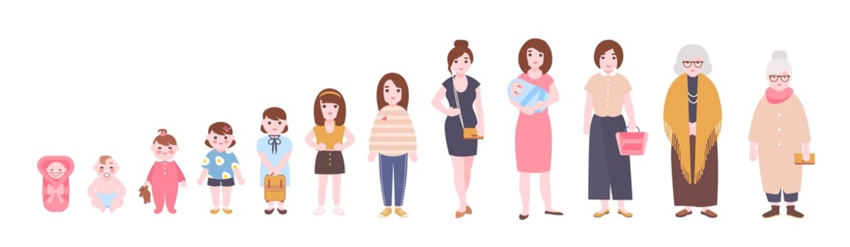 Life cycle of woman. Visualization of stages of female body growth, development and ageing, getting old process. Flat cartoon character isolated on white background. Colorful vector illustration.