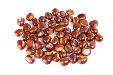 Fresh chestnuts with peeled roasted chestnut isolated on white background. Hippocastanum isolated.