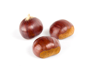 Fresh chestnuts with peeled roasted chestnut isolated on white background. Hippocastanum isolated.