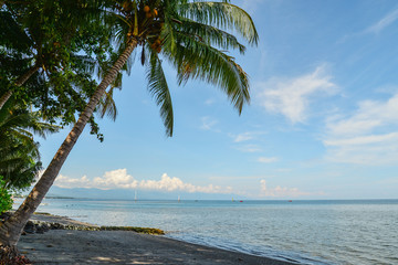Beautiful tropical seascape