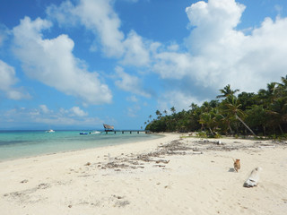 Island view in Fiji - 230428046