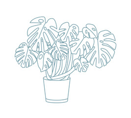 Elegant drawing of monstera growing in pot © Good Studio