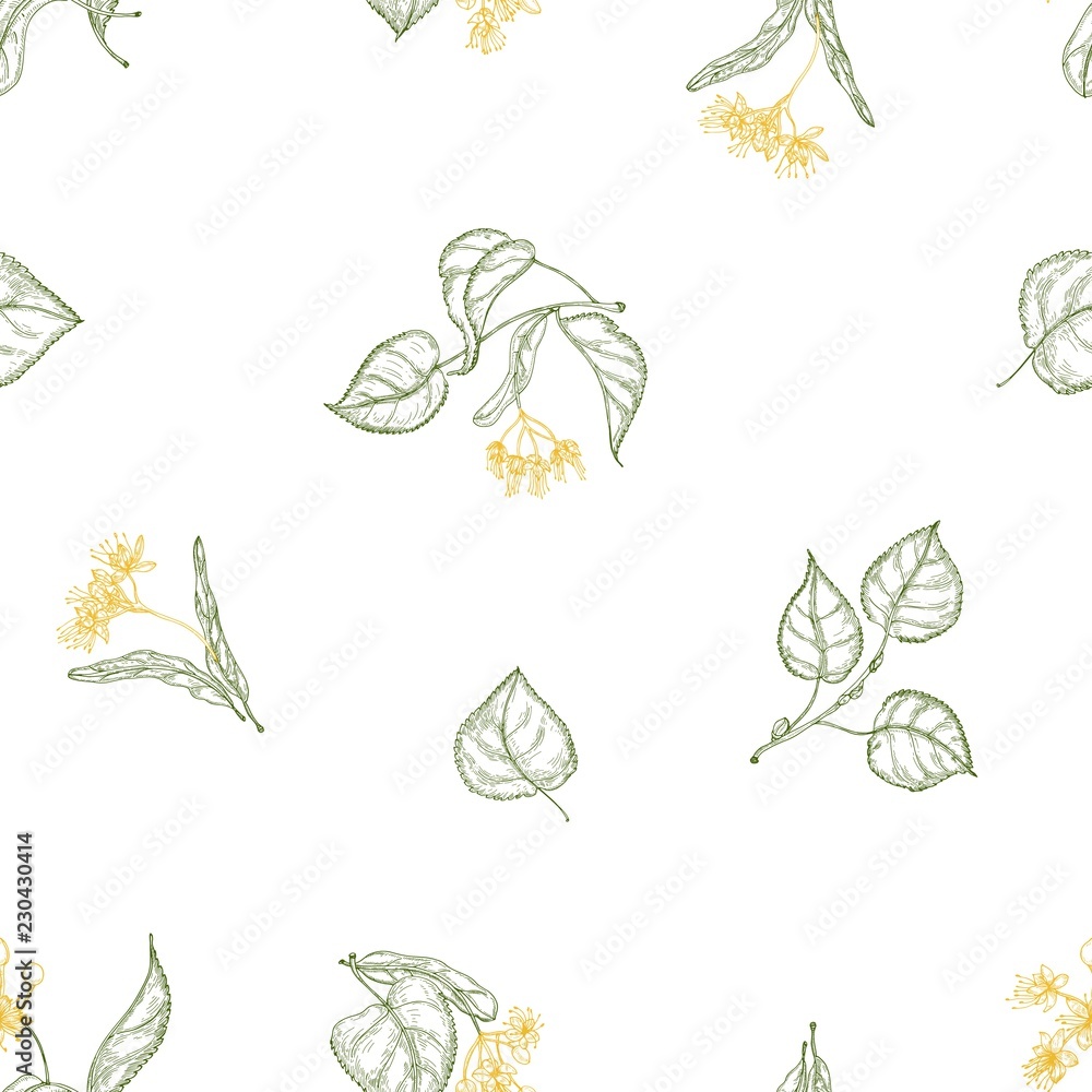 Poster natural seamless pattern with blooming linden flowers and leaves drawn with contour lines on white b
