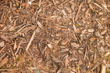 Mulch Background