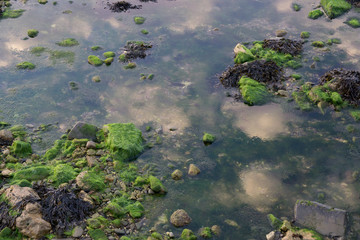 Coastal Rockpools