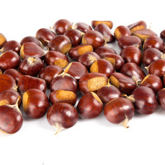 Fresh chestnuts with peeled roasted chestnut isolated on white background. Hippocastanum isolated.