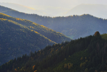 autumn evening in the Carpathian mountains. scenic slope at sunset