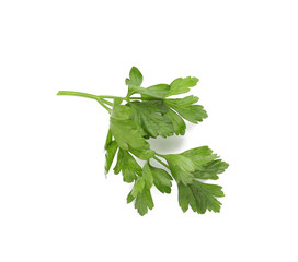 Fresh aromatic parsley on white background