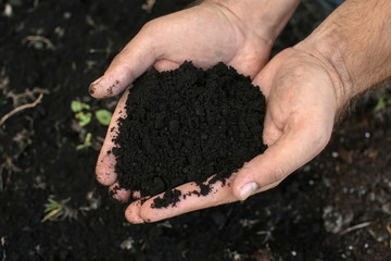 Man holding black soil outdoors