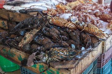 Diverse lobster on the market near the sea, the ocean. Old stalls with fresh marine living crayfish. Asia culture and traditions. Stock photos
