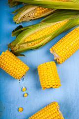 Ripe corn on a blue table