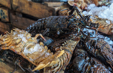 Diverse lobster on the market near the sea, the ocean. Old stalls with fresh marine living crayfish. Asia culture and traditions. Stock photos