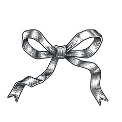 Vector hand draw engraving monochrome bow.