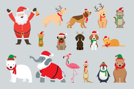 Santa Claus and Animals Wearing Christmas Costume