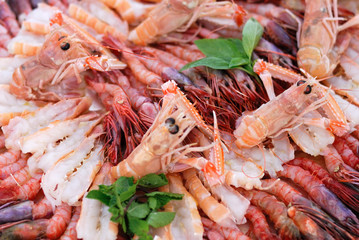 crudo di scampi e gamberi
