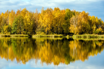 Fototapeta na wymiar Autumn landscape-the forest on the shore of lake 