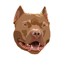 Vector illustration.Staffordshire Terrier dog portrait. Dog breed. Staffordshire terrier head, face. 