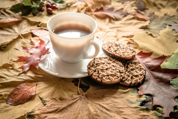 Autumn still life with cup of black coffee 