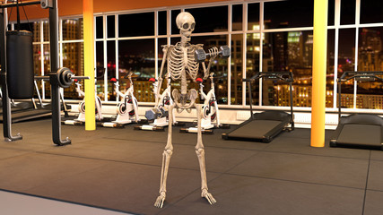 Skeleton in gym working out with dumbbells, human skeleton lifting weights in fitness facility with workout equipment, 3D rendering