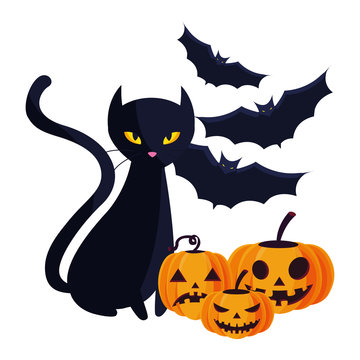 Halloween Black Cat With Pumpkin Character