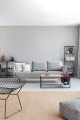 Vertical view of elegant grey living room with comfortable couch, metal shelves and wooden coffee...