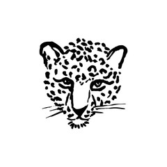 Leopard grunge print. Vector illustration of wild cat head.