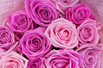 Close up view of a bouquet of pink roses as background, texture