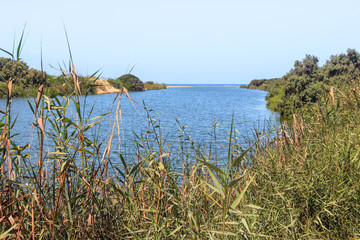 Overgrown with greenery  the banks of the river Alexander, flowing into the Mediterranean Sea in...