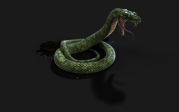 3d Illustration Green Giant Fantasy Snake on Black Background with Clipping Path