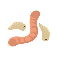 Worm and maggot fishing bait color vector icon. Flat design - 230440467