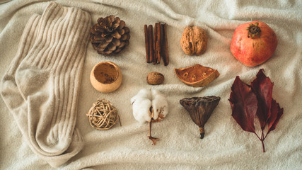 Beautiful autumn seasonal background. Autumn assortment pine cone cotton, mandarin, walnut, cinnamon, leaves, physilis pomegranate