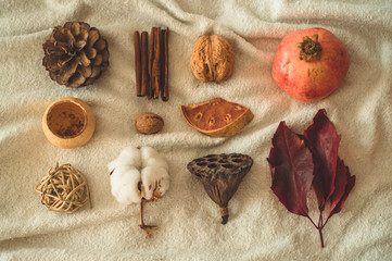 Beautiful autumn seasonal background. Autumn assortment pine cone cotton, mandarin, walnut, cinnamon, leaves, physilis pomegranate