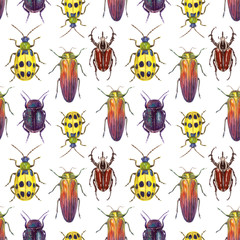 watercolor illustration insects - bugs. hand painting, seamless pattern on a white background