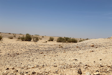 Fototapeta na wymiar Stone Desert in the center of Jordan, Middle East