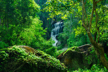 The Mae Sa waterfall. it is beautiful  on Doi Suthep at Chiang Mai in Thailand