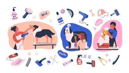 Collection of scenes with people grooming dogs and items for coat care. Women caring of domestic animals or pets - blow drying, cutting fur, washing. Colored vector illustration in flat cartoon style.